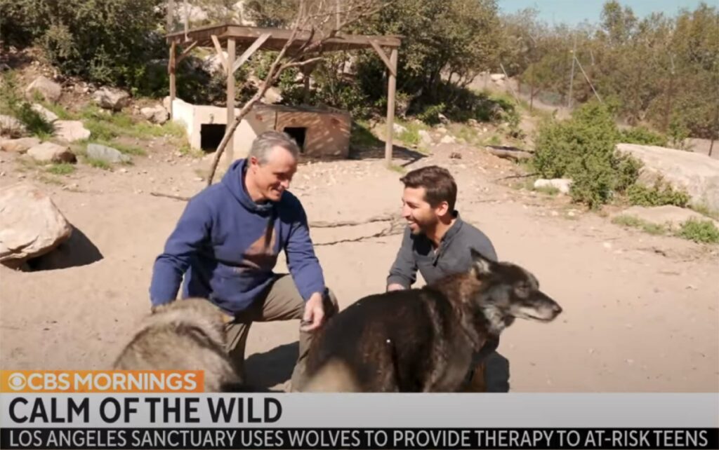 CBS mornings - Calm of the Wild video capture