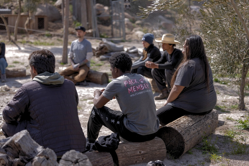 Pack Member of Wolf Connection